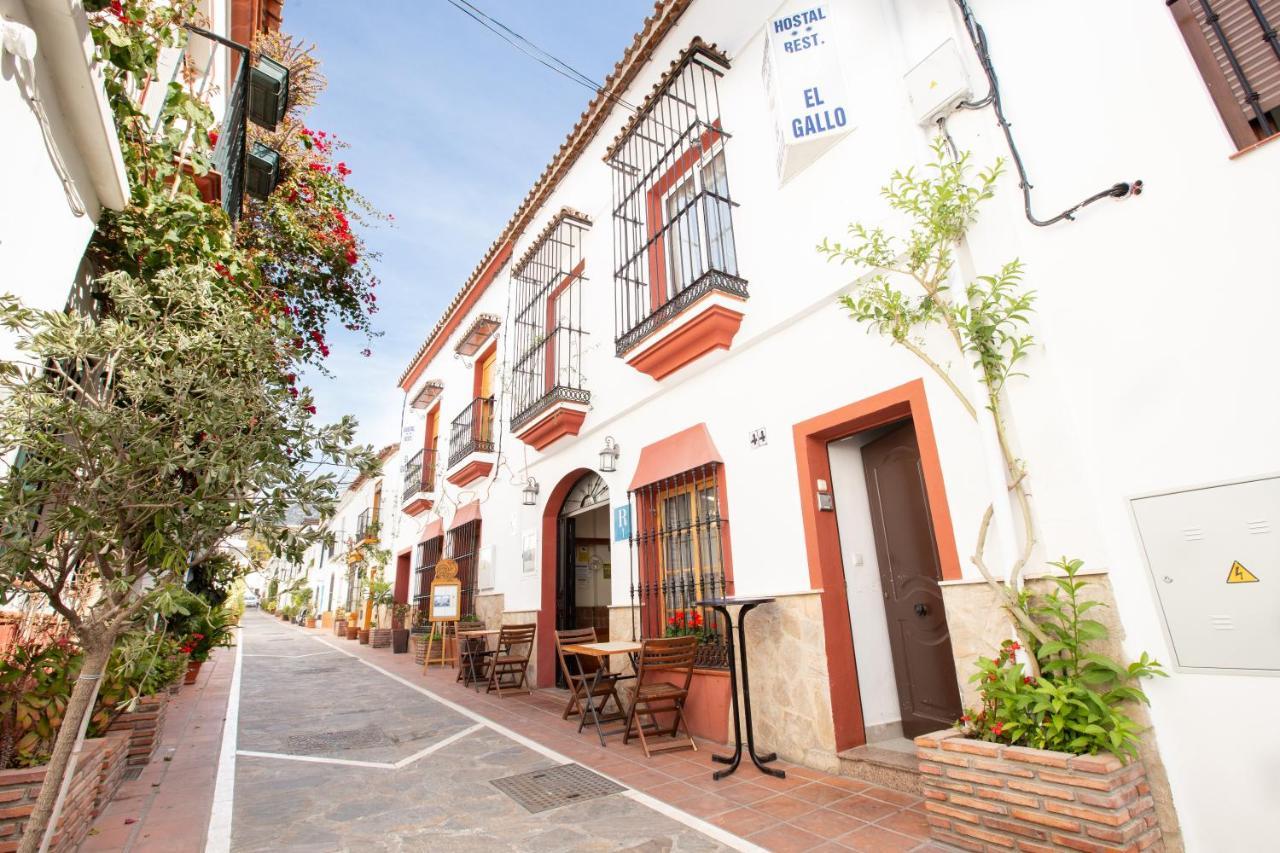 Hostal El Gallo Marbella Exterior photo